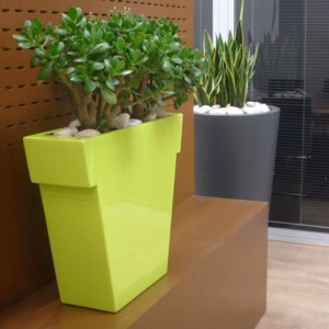 Il Vaso Pot by Slide
