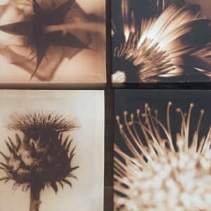  Mini Casa Art Prints - Ex-Display 