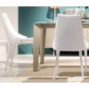 Bontempi Casa Clara Dining Chair with Paint Metal Legs