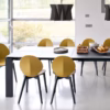 Basil Wood Chair by Calligaris