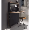 Flatmate Desk by Mueller