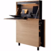 Flatmate Desk by Mueller
