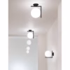 FLOS IC C/W2 Wall or Ceiling Light