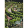 Kartell HIRAY Outdoor Dining Chair