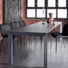 Kuga Metal Frame Chair by Bontempi Casa