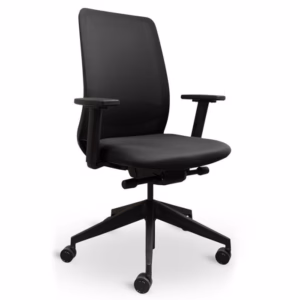 Luxy Neat Office Chair