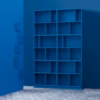 Montana Read Bookcase / Shelving Wall or Plinth Mounted in Different Colours