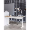 Montana HiLow 2 Height Adjustable Desk 160cm x 80cm