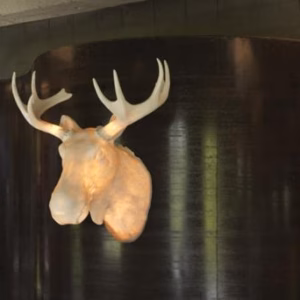 Northern Lighting Moo Wall light  
