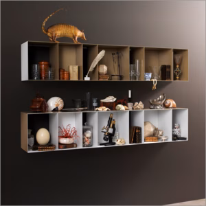 Unit 1 Wall Shelf by Müller