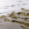 Normann Copenhagen Mat Chair Steel