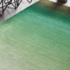 Ombre Green Rug by Asiatic
