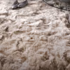 Plush Sand Rug by Asiatic