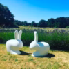 Qeeboo Rabbit Chair in 11 different colours