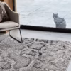 Quantum QU03 Snake Rug by Asiatic 