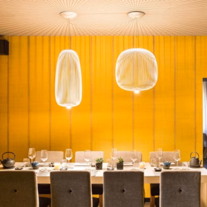 Spokes Suspension Light by Foscarini