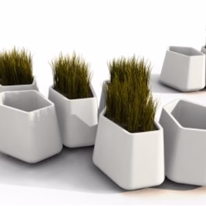 Qui est Paul? Rock Garden Medium Planter